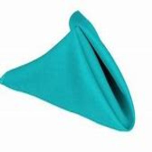 Turquoise Folded Cloth Napkin