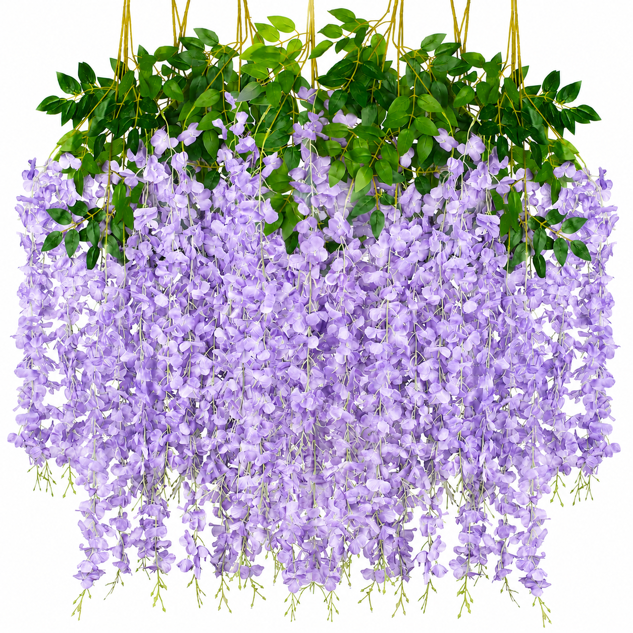 Wisteria-Lavender